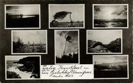 Aruba, N.W.I., Wind Tree, Cactus, Christmas Multiview RPPC Postcard - Aruba