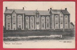 Wellin - Ecole Communale - 1905  ( Voir Verso ) - Wellin