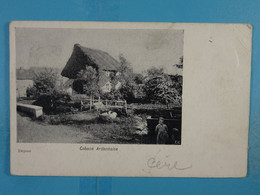 Cabane Ardennaise - Farmers