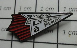 520 Pin's Pins / Beau Et Rare / THEME : ADMINISTRATIONS / AVION EN PAPIER POUR UN LYCEE PUBLIC A PLOERMEL - Administrations