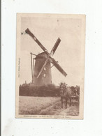 STEENVOORDE (NORD) LE STEEN MEULEN. LE MOULIN DE PIERRE (ATTELAGE CHEVAL) 1939 - Steenvoorde