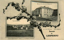 Lesperou * Souvenir Du Village * Cpa 2 Vues - Andere & Zonder Classificatie