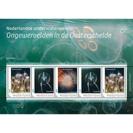 D(A) 293 ++ NEDERLAND NETHERLANDS PAYS BAS 2022 UNDERWATER FISHES VISSEN POISSON OOSTERSCHELDE MNH ** - Unused Stamps