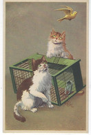 CHATS Surpris Par L'oiseau Qui S'envole ( Edition Chromophote ) Cat - Katze - Gato - Gatti