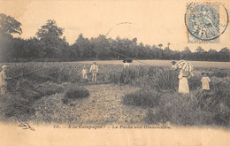 CPA THEME PECHE A LA CAMPAGNE LA PECHE AUX GRENOUILLES - Pesca