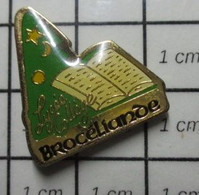 2122 Pin's Pins / Beau Et Rare / THEME : ADMINISTRATIONS / LYCEE COLLEGE BROCELIANDE - Administrations