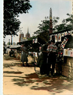 Paris * Les Quais * Notre Dame Et Monument Ste Geneviève * Vendeurs De Livres - De Seine En Haar Oevers