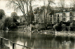 Montigny Sur Loing * Vue Sur Le Loing - Autres & Non Classés