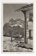 MOLLIS Ski Beggasthaus Alpenrösli Mullernalp Gel. 1941 Feldpost - Mollis
