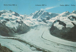 Zermatt - Blick Vom Gornergrat / CPS AFE / Stamp / 1969 / Special Cachet - Matt