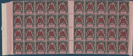 Colonies Type Groupe St Pierre & Miquelon Bloc De 40 Interpannneau N°98A**/* Sans Millésime Fraicheur Postale - Unused Stamps