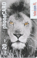 Liechtenstein, LI-07, Lion, 2 Scans.   Please Read - Liechtenstein