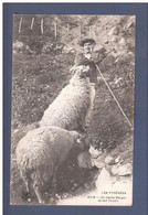 Carte Postale Ancienne Les Pyrénées - Un Jeune Berger Et Son Favori - Agriculture, élevage, Moutons, Ovins - Other & Unclassified