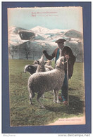 CPA LES PYRENEES----Patre En Montagne --beau Plan Sheep Shepherd Farming - Autres & Non Classés