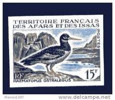 AFARS Et ISSAS - Yvert 330 NON DENTELE ** (RARE) - Cote Yvert 2022 80 Euros - Haematopus Ostralegus  (thème Oiseaux) - Autres & Non Classés