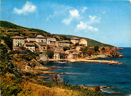 Cagnano * Porticciolo * Vue Sur Le Village Et Le Port * Haute Corse 2B - Autres & Non Classés