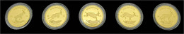 African Springbock Premium Gold Edition 2021. 5 X 1/10 Unze Feingold Jeweils Mit Eingelegtem Echten Diamanten. Das Fünfe - Chad
