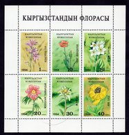 Kyrgyzstan 1994 Flora. Flowers Of Tyan-Shan. M/S** - Kyrgyzstan