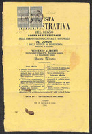 Vittorio Emanuele II - Quartina Del 1 Cent (L14) Su Pagina Della Rivista Amministrativa - Torino 24.1.65 - Raybaudi + Ce - Autres & Non Classés
