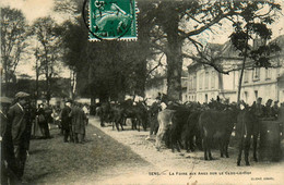 Sens * La Foire Aux ânes Sur Le Clos Le Roi * Foire Marchands - Sens