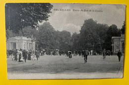 17896 -  Bruxelles Entrée Du Bois De La Cambre - Forêts, Parcs, Jardins