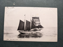 TROIS MATS EN MER CABOURG LE 12 AOUT 1913 - Voiliers