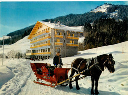 Megève * Vue Sur Le Chalet Du Prariand , Chalet Familial * Attelage Luge - Megève