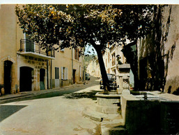 Quinson * Place Et Fontaine Pittoresque Du Village - Autres & Non Classés