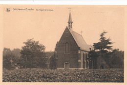 ST.LIEVENS ESSCHE   DE KAPEL ST LIVINUS    2 SCANS - Herzele