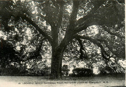 Loches * Le Marronnier Au Château Royal * Arbre Arbres Tree Trees - Loches