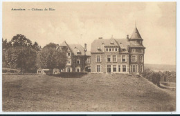 Amonines - Château De Blier - Erezee