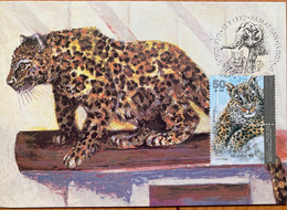 ISRAEL 1992, SPECIAL CANCELLATION ELEPHANT,LEOPARD,TIGER,TELAVIV -RAMAT GAN ZOO ! MAXIM CARD - Lettres & Documents