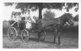 79 - DEUX SÈVRES - THÉNEZAY - Carte Photo Enfants Sur Voiture Attelée à Identifier - Superbe - 10164 - Thenezay