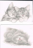 2 Cartes Chat  - Cat -katze- Slapende  Poezen - Cats