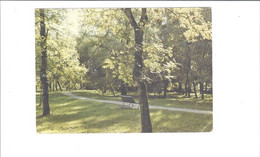 Delcampe - SAUJON  PARC DE L ETABLISSEMENT THERMAL       **   RARE     A  SAISIR   * - Saujon