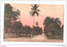 A Village Street Sierra Leone Vintage Coloured Postcard Unused By Pickering & Berthoud - Sierra Leona