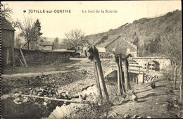 Jupille-sur-Ourthe  Le Bief De La Scierie - Rendeux