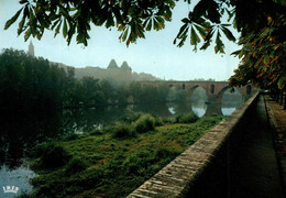 MONTAUBAN  Les Bords Du Tarn, Le Pont Vieux XIVe Et Le Musée Ingres   ( Recto-verso) 82 Tarn Et Garonne - Montauban