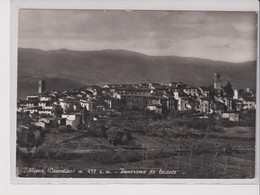 BIBBIENA  CASENTINO AREZZO  PANORAMA DA LEVANTE  VG  1956 - Arezzo