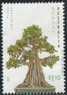 Australie 2019 Yv. N°5117 - Bonsai Ficus Rubiginosa - Oblitéré - Used Stamps