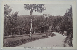 42 - LOIRE - Noirétable - Le Château Dans Les Bois - Carte Animée - - Noiretable