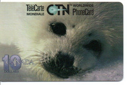 Phoque Télécarte  GSM Canada Phonecard Karte  (S 866) - Canada