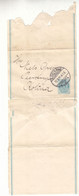 Danemark - Bande Pour Journaux De 1895 - Entier Postal - Oblit Kjobenhavn - Exp Vers Kolina - Storia Postale