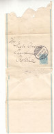 Danemark - Bande Pour Journaux De 1895 - Entier Postal - Oblit Kjobenhavn - Exp Vers Kolina - Briefe U. Dokumente