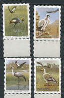 Transkei ** N° 271 à 274 - Oiseaux Divers - Transkei