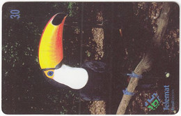 BRASIL T-419 Magnetic Telemat - Animal, Bird, Toucan - Used - Brasilien