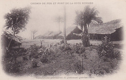 COTE D IVOIRE(CHEMIN DE FER ET PORT) ARBRE(1904) - Côte-d'Ivoire