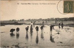 CPA LUC-sur-MER Les Pecheurs De Crevettes (1227449) - Luc Sur Mer