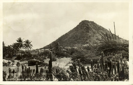 Aruba, N.A., Country Scene With Hooiberg Mountain (1950s) RPPC Postcard - Aruba