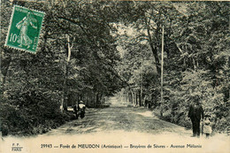 Meudon * La Forêt * La Bruyères De Sèvres * Avenue Mélanie * Chemin - Meudon